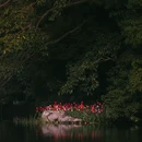 杭州旅游 缩略图 4