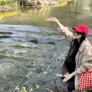 杭州旅游 缩略图 3