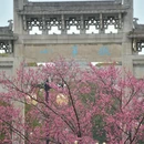 宣城旅游 缩略图 3