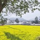 宣城旅游 缩略图 5