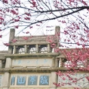 宣城旅游 缩略图 4