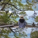 杭州旅游 缩略图 3