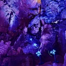杭州旅游 缩略图 13