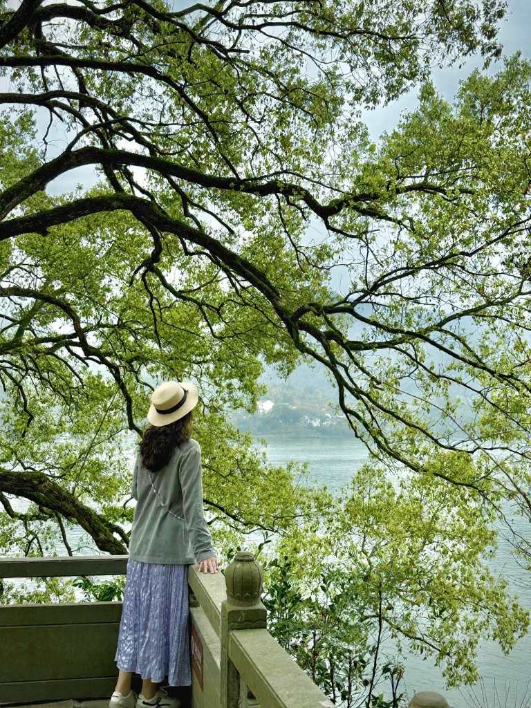 杭州旅游