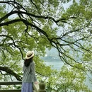 杭州旅游 缩略图 1
