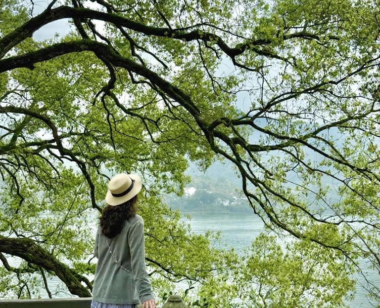 杭州旅游 1