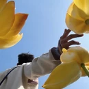 杭州旅游 缩略图 1