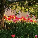 杭州旅游 缩略图 8