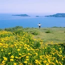 温州旅游 缩略图 3