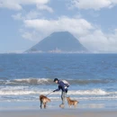 温州旅游 缩略图 2