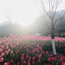 杭州旅游 缩略图 3