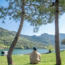温州旅游 缩略图 9