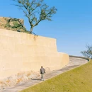 温州旅游 缩略图 15