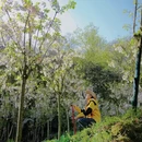 德阳旅游 缩略图 12