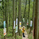 德阳旅游 缩略图 14