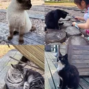 淮安旅游 缩略图 6