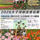 杭州旅游 缩略图 1