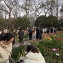杭州旅游 缩略图 5