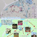 杭州旅游 缩略图 5