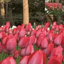 杭州旅游 缩略图 9