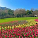 杭州旅游 缩略图 5