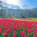 杭州旅游 缩略图 2