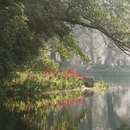 杭州旅游 缩略图 5