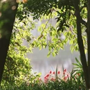 杭州旅游 缩略图 7