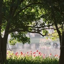 杭州旅游 缩略图 8