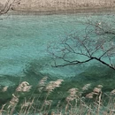阿坝旅游 缩略图 2