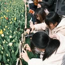 杭州旅游 缩略图 7