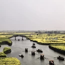 泰州旅游 缩略图 1