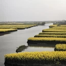 泰州旅游 缩略图 4