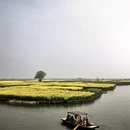 泰州旅游 缩略图 3