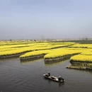 泰州旅游 缩略图 7