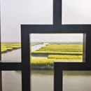 泰州旅游 缩略图 6