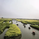 泰州旅游 缩略图 10