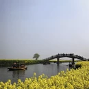 泰州旅游 缩略图 5