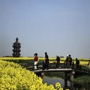 泰州旅游 缩略图 8