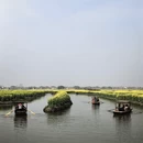 泰州旅游 缩略图 18