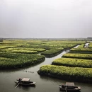 泰州旅游 缩略图 13
