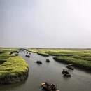 泰州旅游 缩略图 14