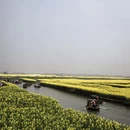 泰州旅游 缩略图 15