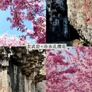 绍兴旅游 缩略图 12