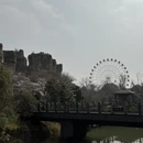 常州旅游 缩略图 7