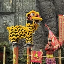 常州旅游 缩略图 11