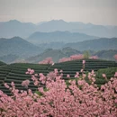 杭州旅游 缩略图 1