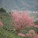 杭州旅游 缩略图 6