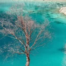 阿坝旅游 缩略图 4