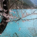 阿坝旅游 缩略图 7
